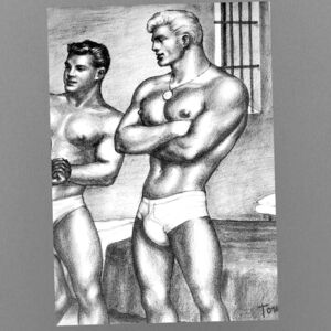 Gay Male Art Tom Of Finland Gay White Underwear